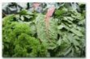 Reptigreens