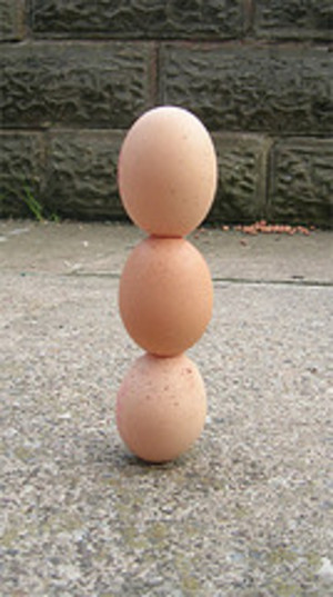 Fresh Eggs