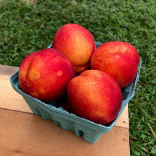 Agriberry Farm and CSA