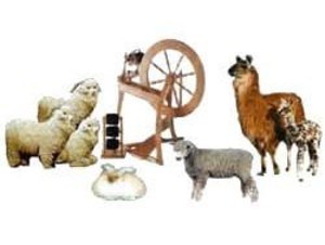 Mountainspun's Organic Eweporium-Fiberarts Equipment, Exotic Fibers, Handspun Yarns  & Angora Bunnies too.