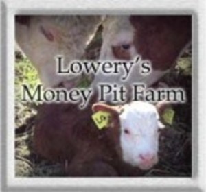 Lowery's Money Pit Farm