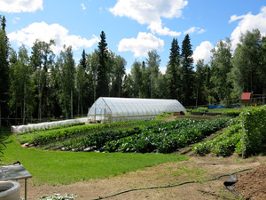 Cripple Creek Organics