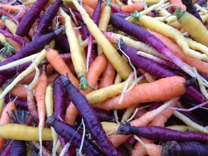 Kragnes Family Farms CSA
