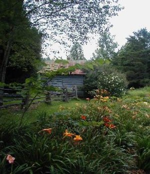 Millstone Meadows Farm