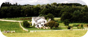 Terrapin Hill Farm