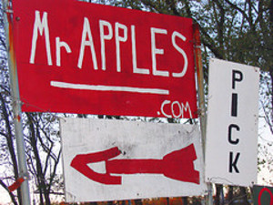 Mr. Apples Low Spray Orchard
