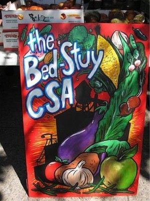 Bed-Stuy CSA