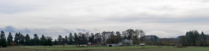 White Oak Farm
