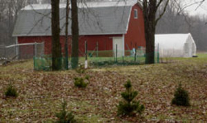 Moonlight Mile Herb Farm