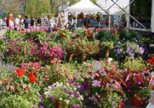 Northville Farmers' Market
