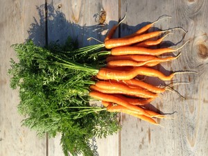 180 Degree Farm