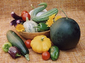 Big Rock Organics