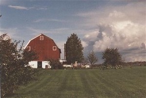 Sheepy Hollow Farm