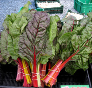 New Hope Farmers Market