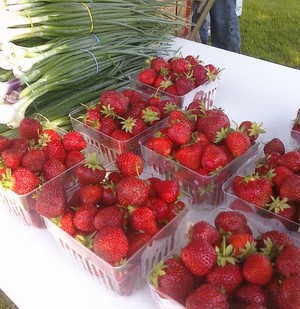Grow Benzie Farmer's Market