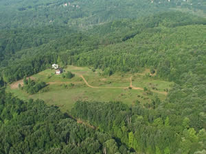 The Spicy Lamb Farm