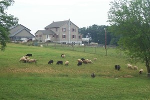 Cedarland Farm