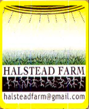 Halstead Farm