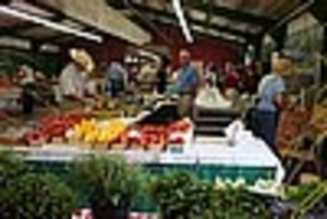 Carroll County Farmers Market