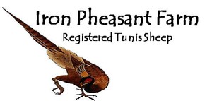Iron Pheasant Farm
