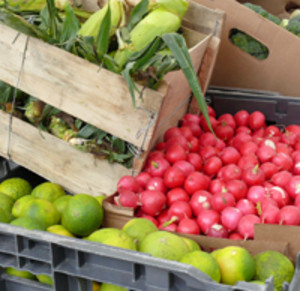 The Palmetto Bay Marketplace