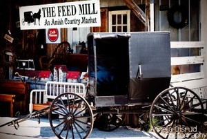 Nolensville Feed Mill Amish Market