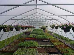 Sunseed Farm