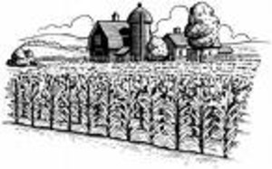 Too Tuff Farms