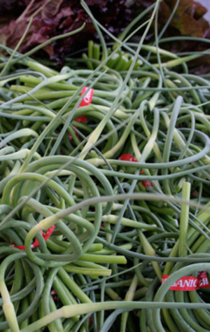 Crystal City FRESHFARM Market