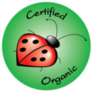 Ladybug Farm
