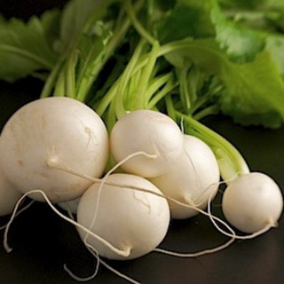 Harlequin Produce
