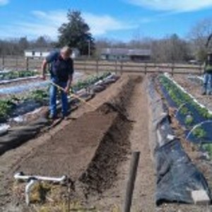 Johnnie's Gardens