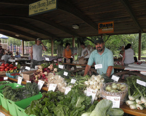 Green Heron Farm