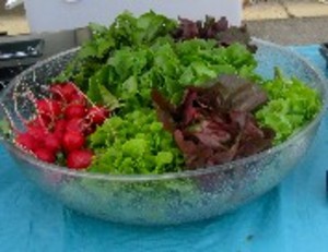 Elon Community Church Farmers Market
