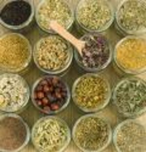 Helvetia Herbary