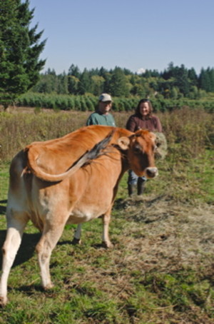 Braeside Farms