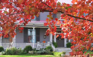 Yancey House Restaurant & Gallery