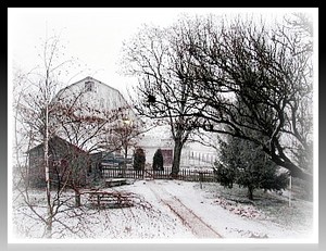 Rise 'N' Shine Farm