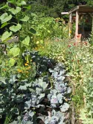 RiverHouse Farm