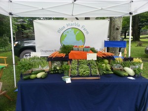 Blue Marble Farm LLC