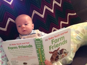 Richert/Phillips Farms
