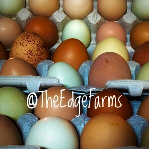 The Edge Farms