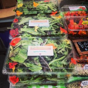 Downtown Windsor Farmers' Market