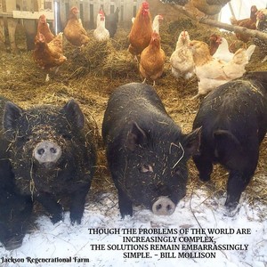 Jackson Regenerational Farm
