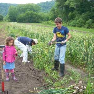 Liz and Paul's Farm