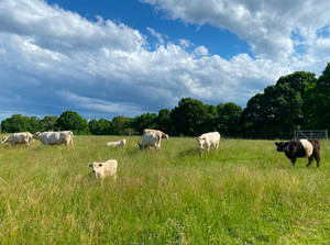 NOMAD Farms, LLC