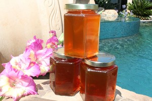 Fallbrook Farms-Honey & Bee Removal