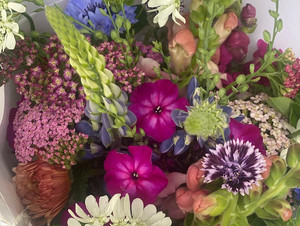 Peterson's Patch Flower Farm