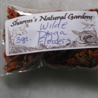 Sharon's Natural Gardens