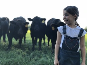 Beaver Brook Ranch